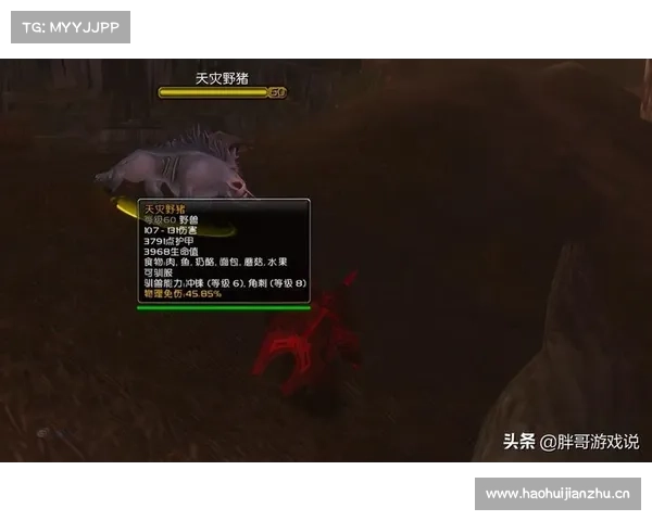 魔兽世界怀旧服：野猪技能学习指南